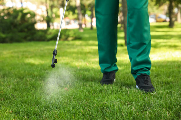 Flea Control Services in Edisto, SC