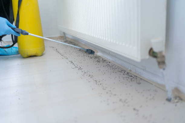 Best Residential Pest Control  in Edisto, SC